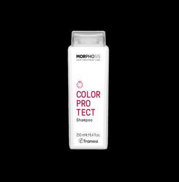 Шампунь для фарбованого волосся Framesi Morphosis Color Protect Shampoo 250 мл 3583 фото