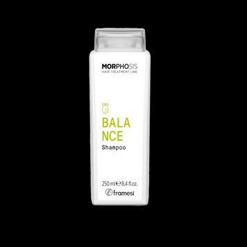 Шампунь для жирної шкіри голови Framesi Morphosis Balance Shampoo 250 мл 3585 фото