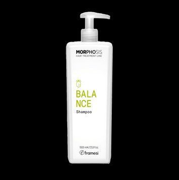 Шампунь для жирної шкіри голови Framesi Morphosis Balance Shampoo 1000 мл 3586 фото